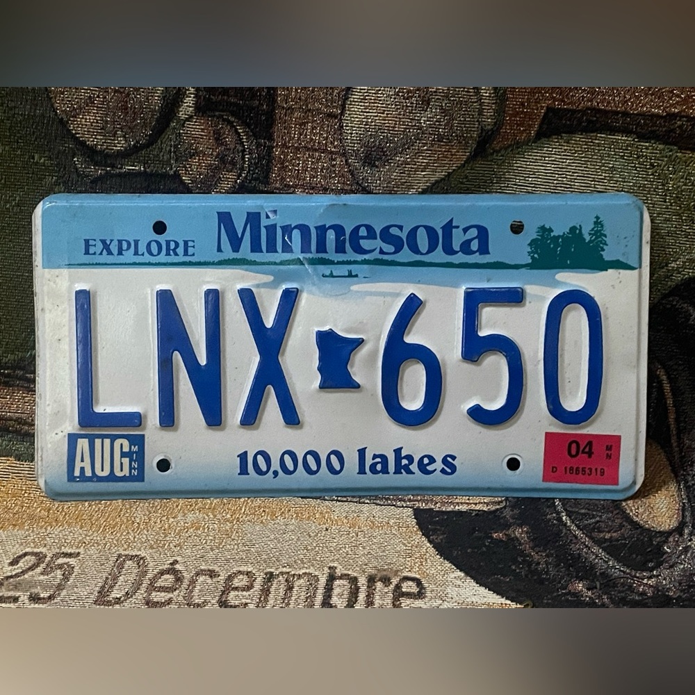 Explore Minnesota License Plate MN 10.000 Lakes 2004 LNX 650